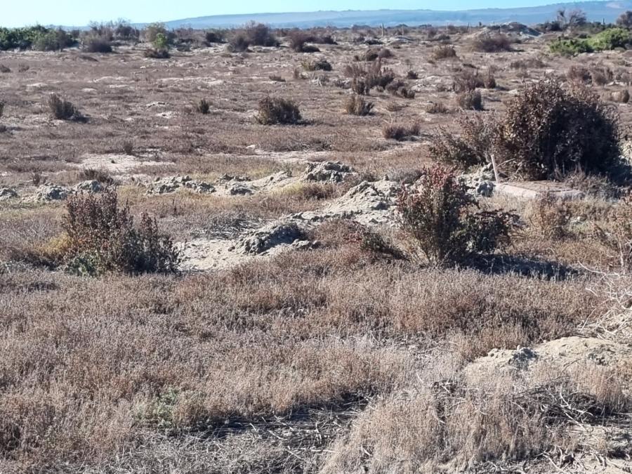  Bedroom Property for Sale in Saldanha Rural Western Cape